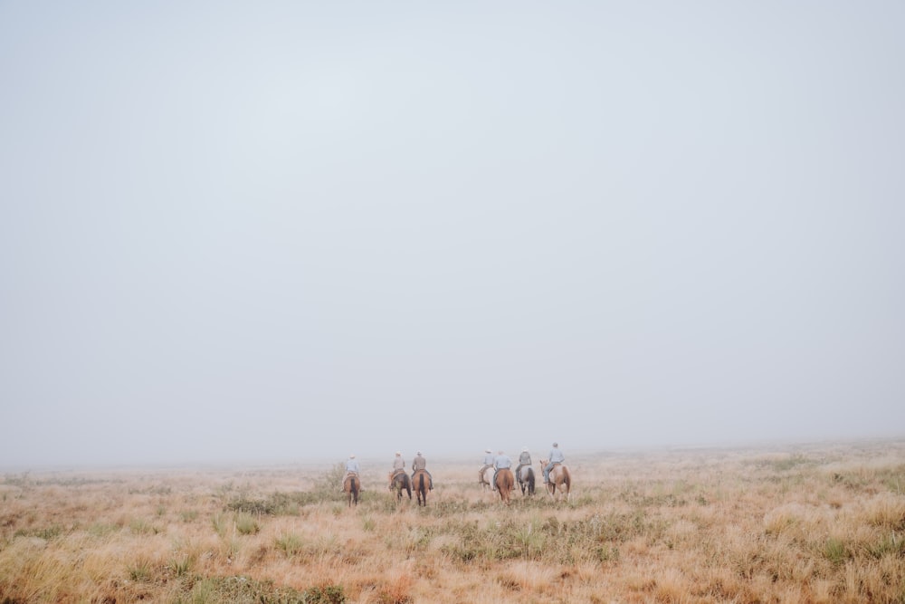 a group of people riding horses through a foggy field