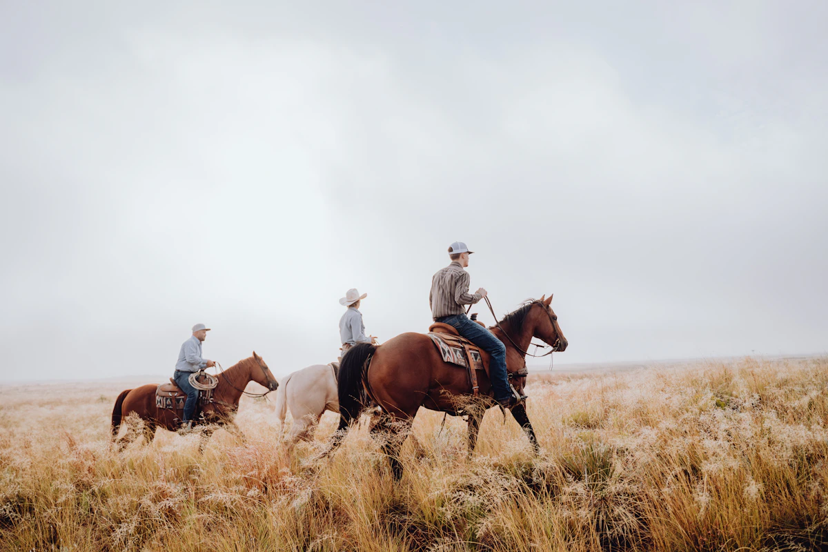 Three riders on horseback crossing a dry grass field