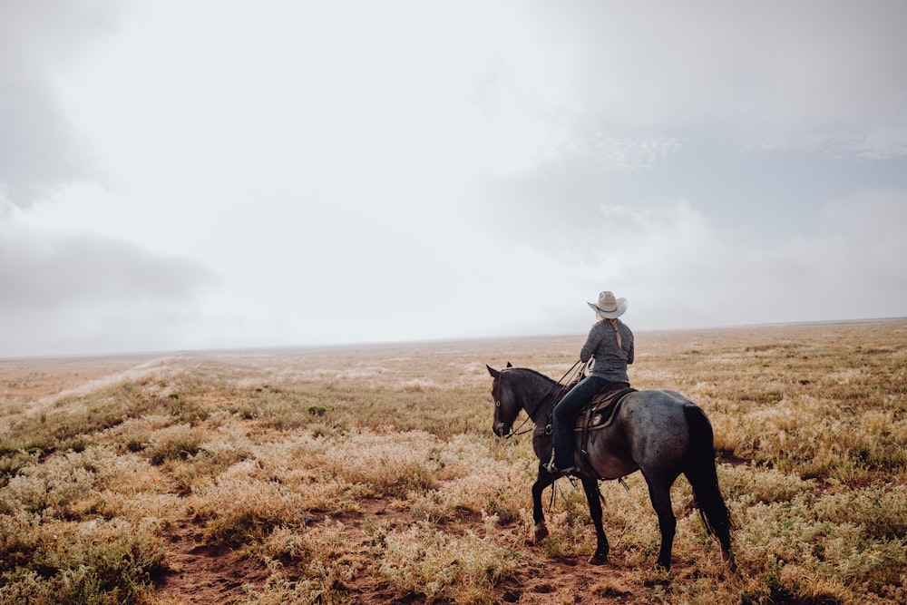 a person riding a horse in a field