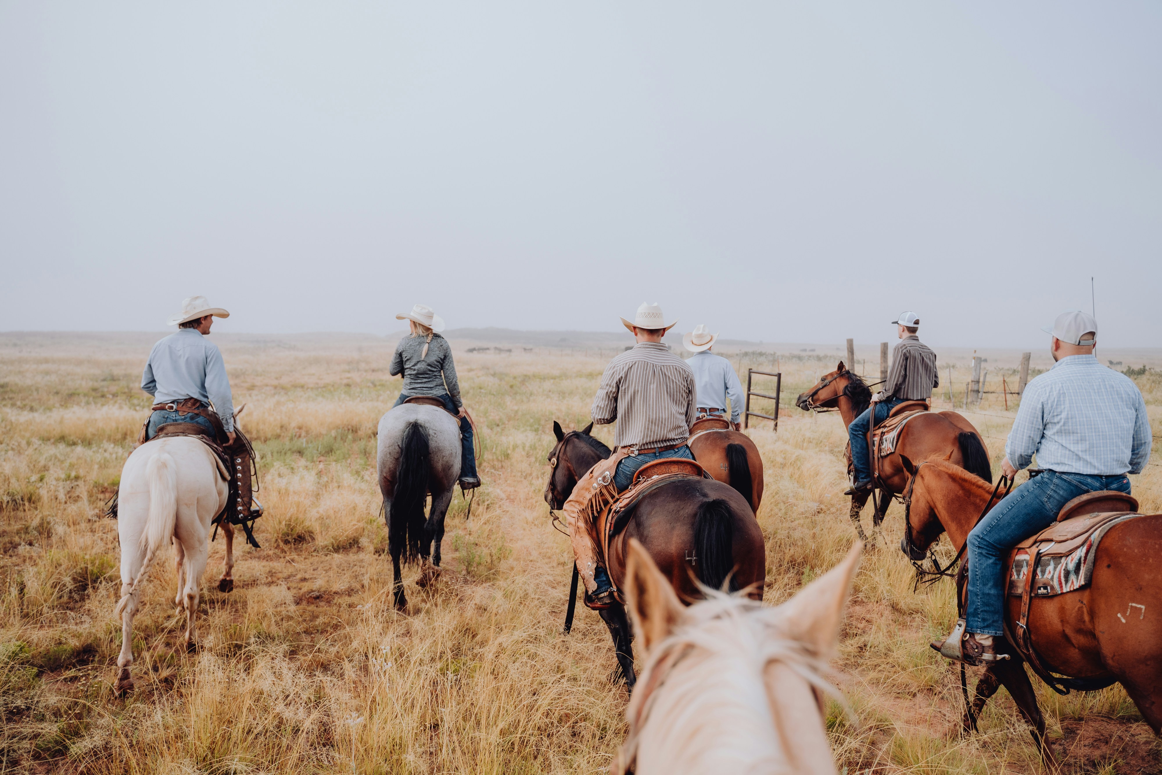 a group of men riding on the backs of horses