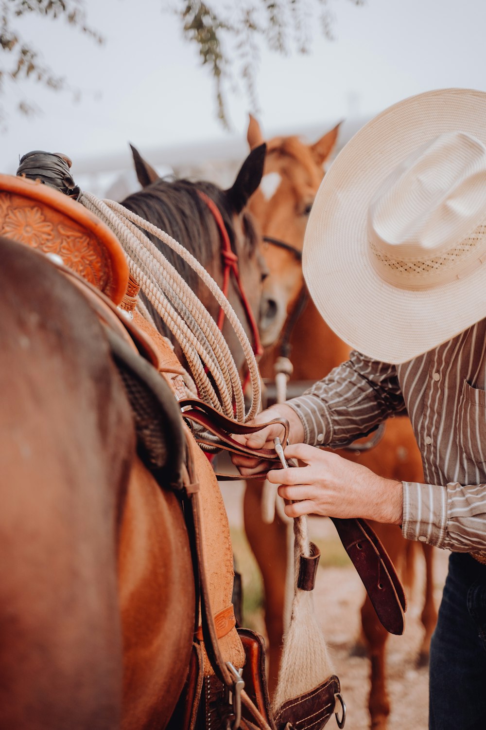 Foto Un hombre con sombrero de vaquero está acariciando a un caballo –  Imagen Sombrero gratis en Unsplash