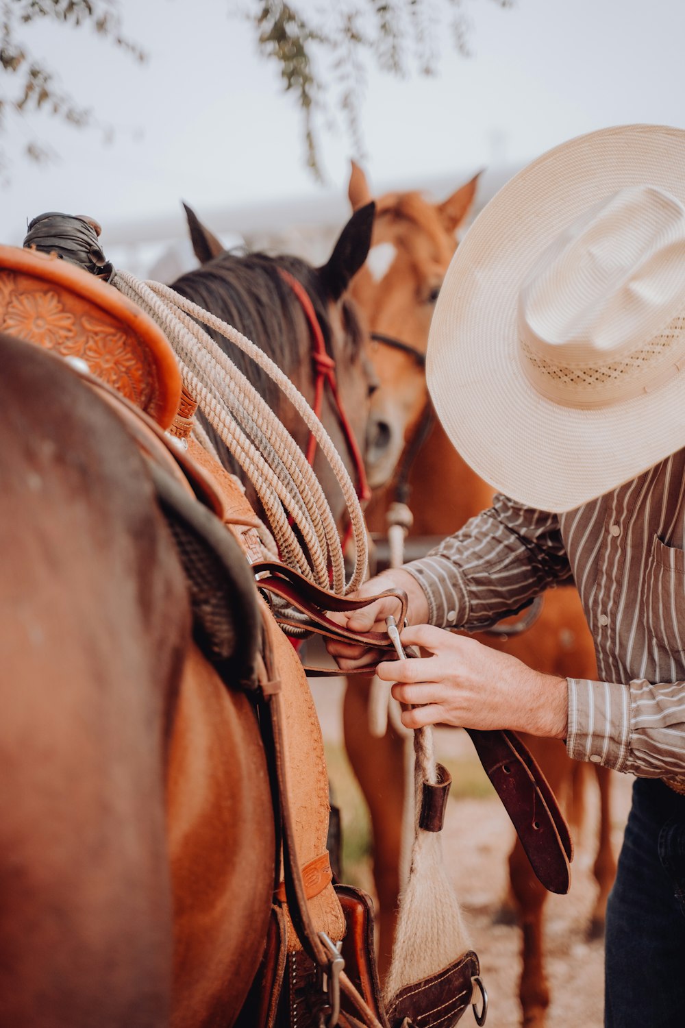 a man in a cowboy hat is petting a horse