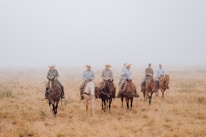 A group of six people wearing cowboy hats and casual attire are riding horses across an open, expansive field of dry grass. The sky appears overcast with a layer of fog creating a soft, muted backdrop.