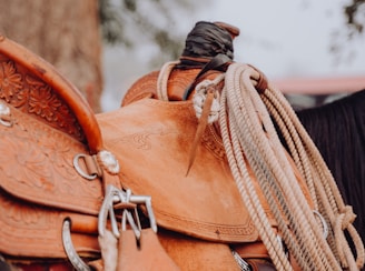 western saddle with rope on horse