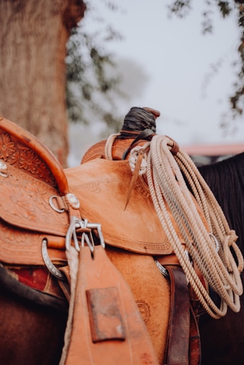 western saddle with rope on horse