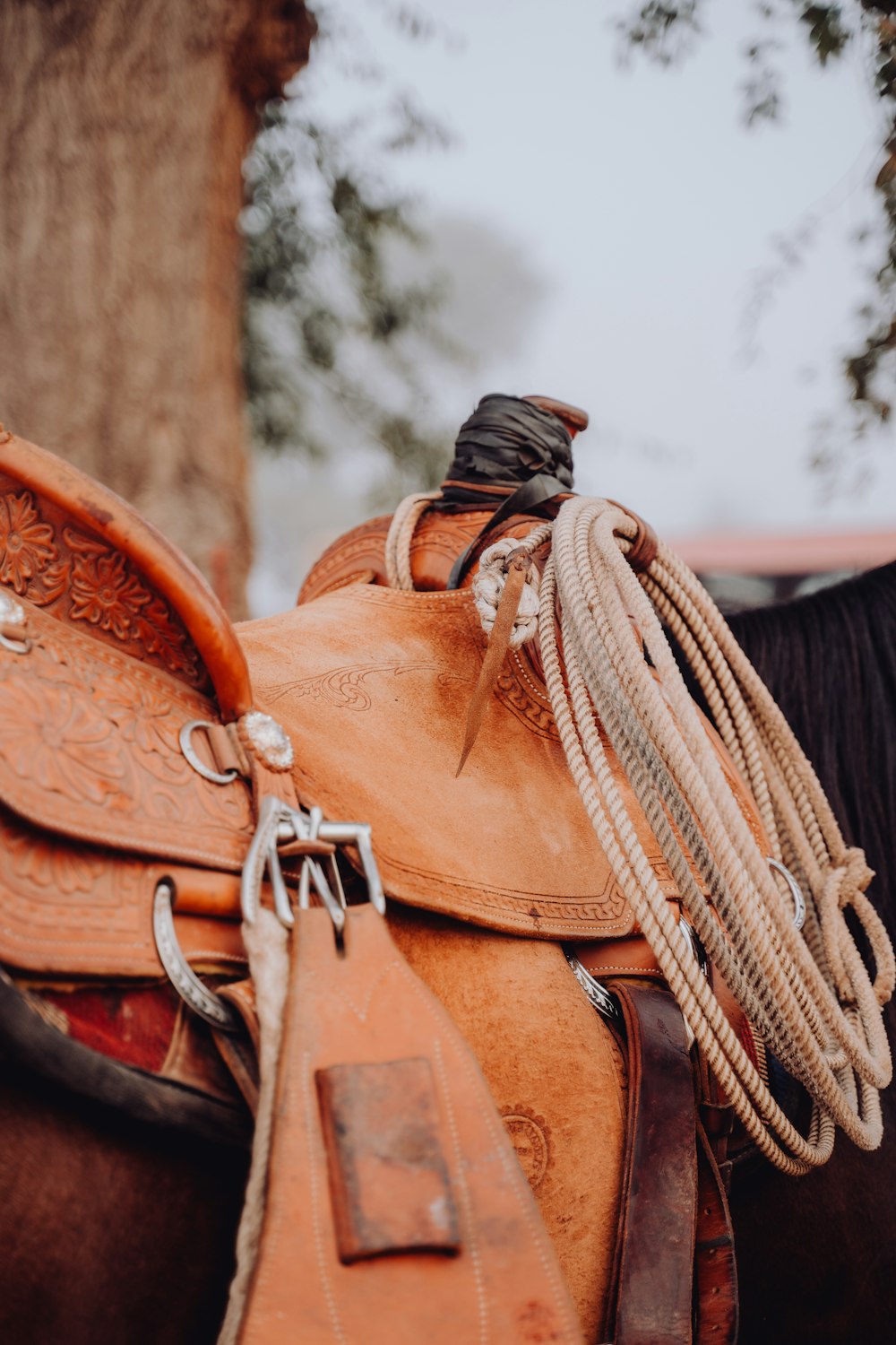 a close up of a saddle on a horse