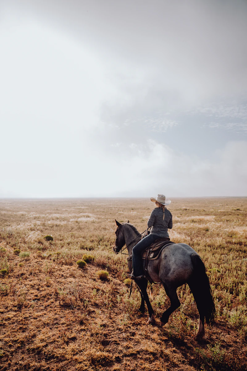 Rider on a black horse in the stony desert near Marrakech