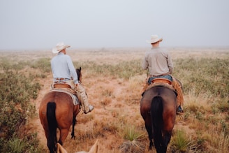 a couple of people riding on the backs of horses