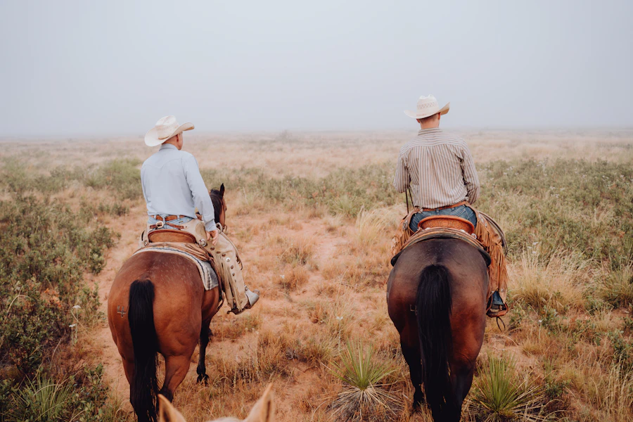 Two riders on horseback crossing open grassland