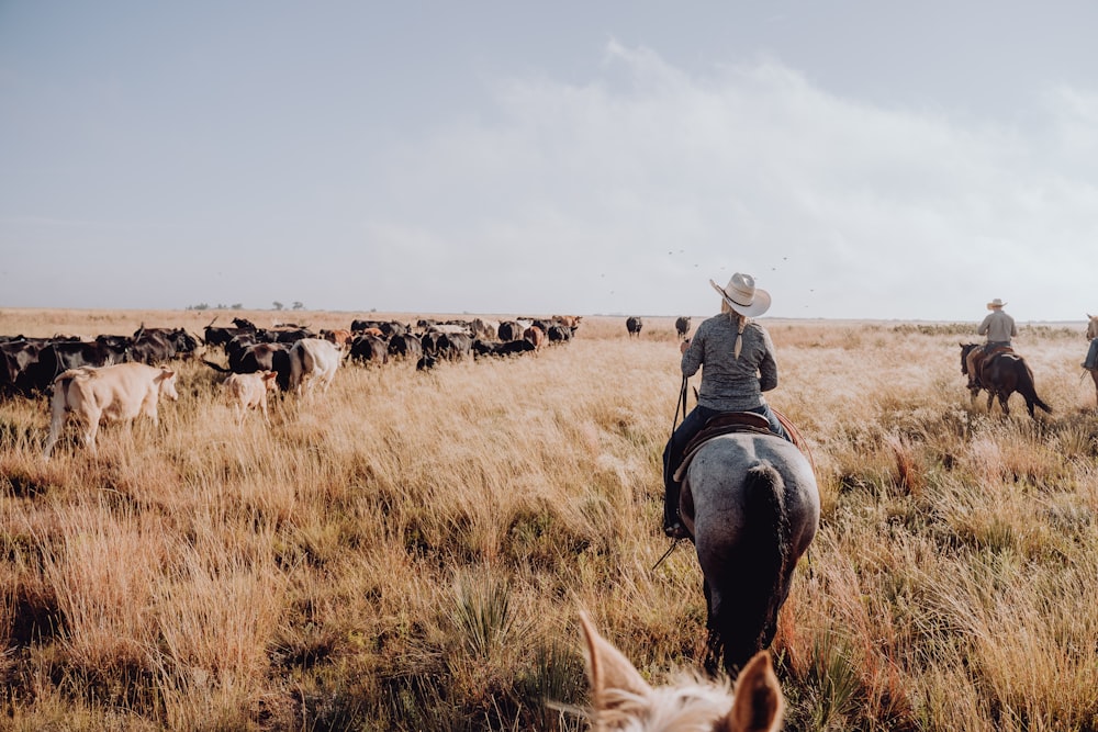 a group of people on horses herding cattle in a field