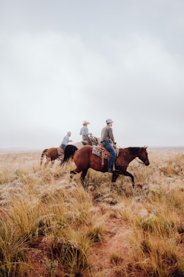 a group of people riding horses through a dry grass field
