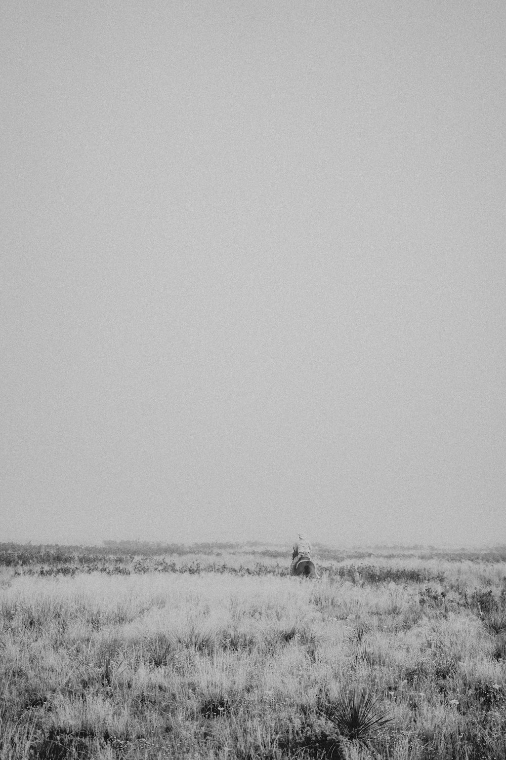 a black and white photo of a person in a field