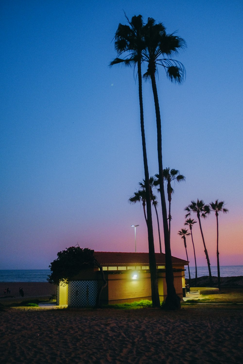 Una casa en la playa con palmeras