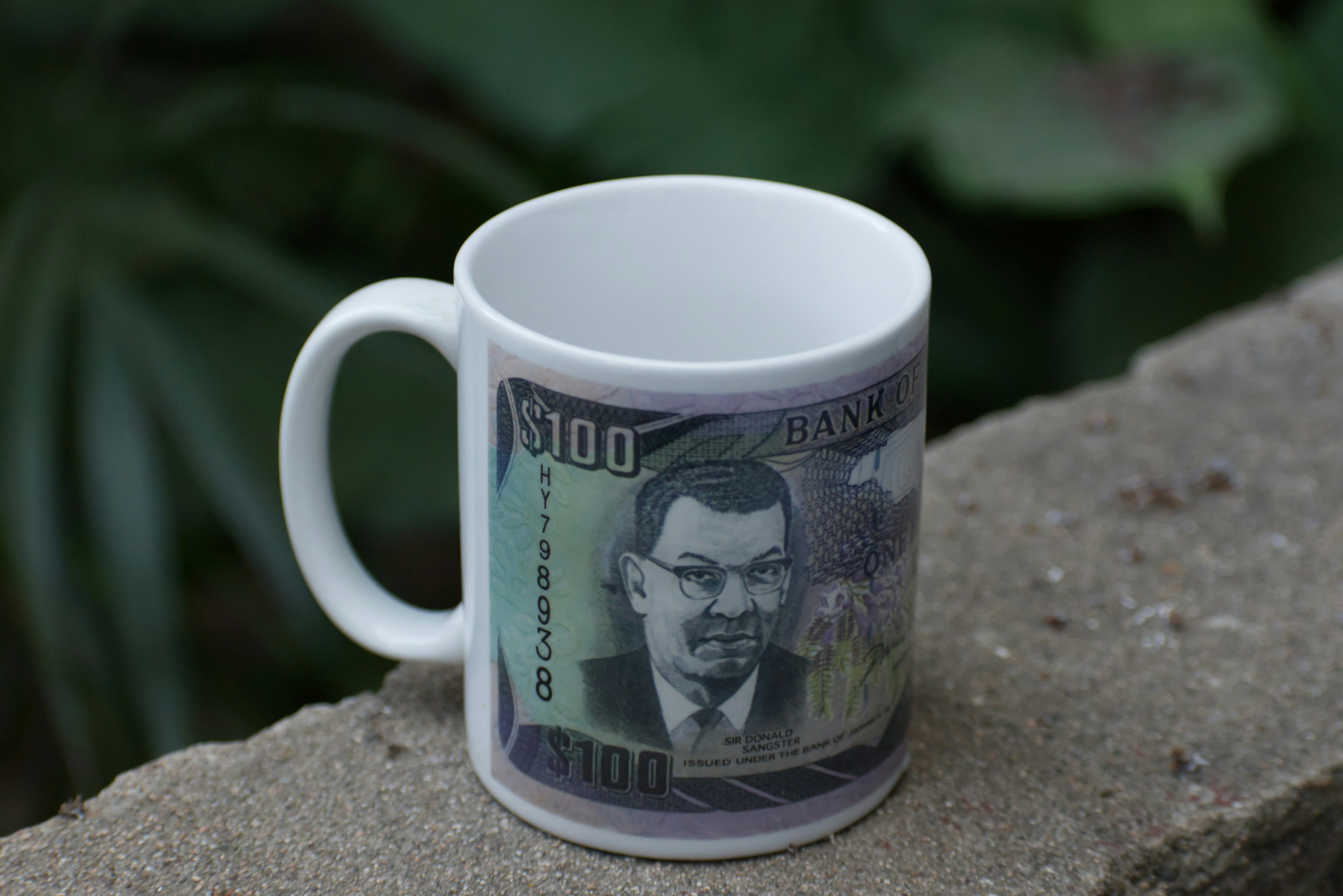 Pundit Shares Why XRP Will Become Expensive And A $1,000 Price Tag Is Possible