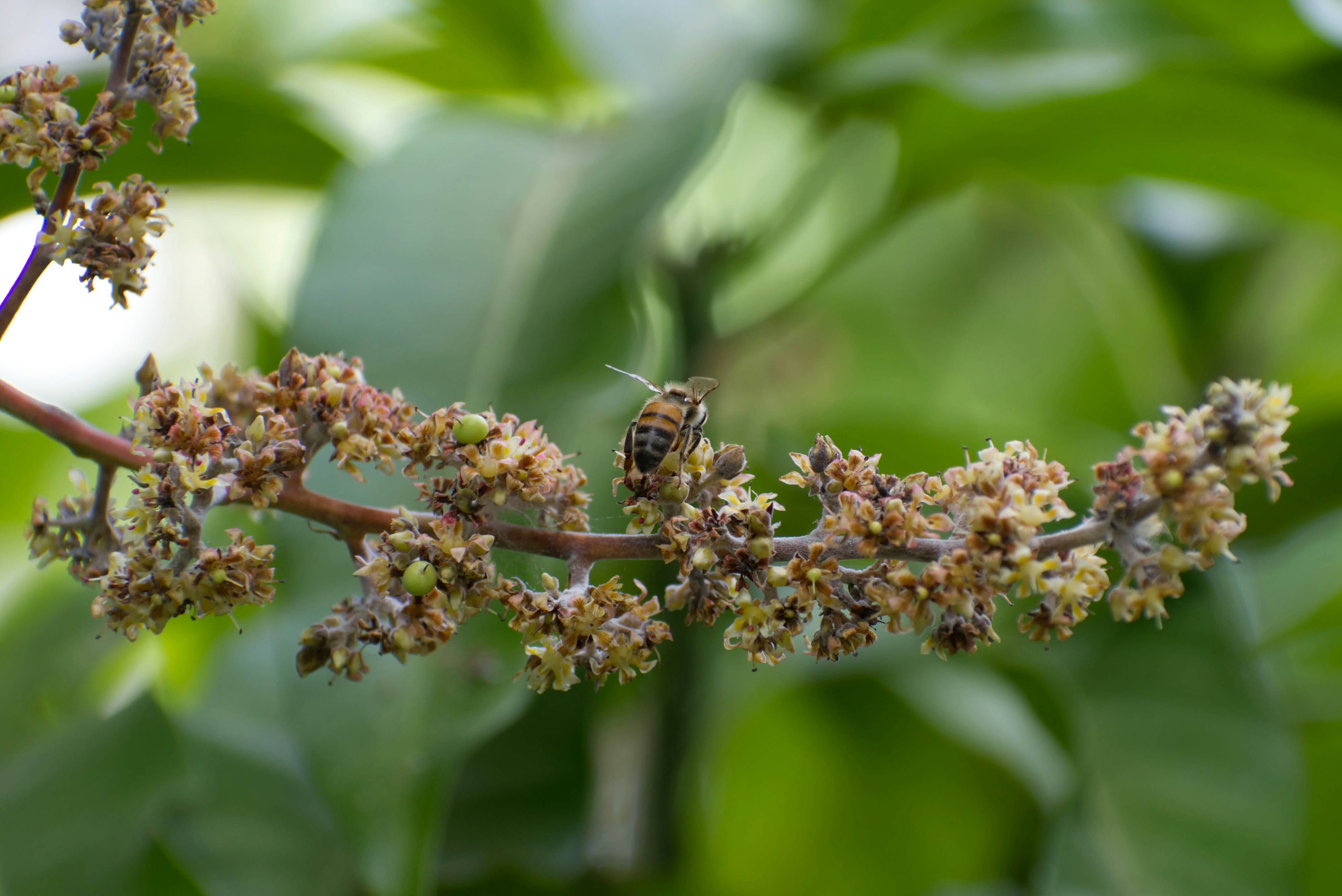 Photo by stocktropics