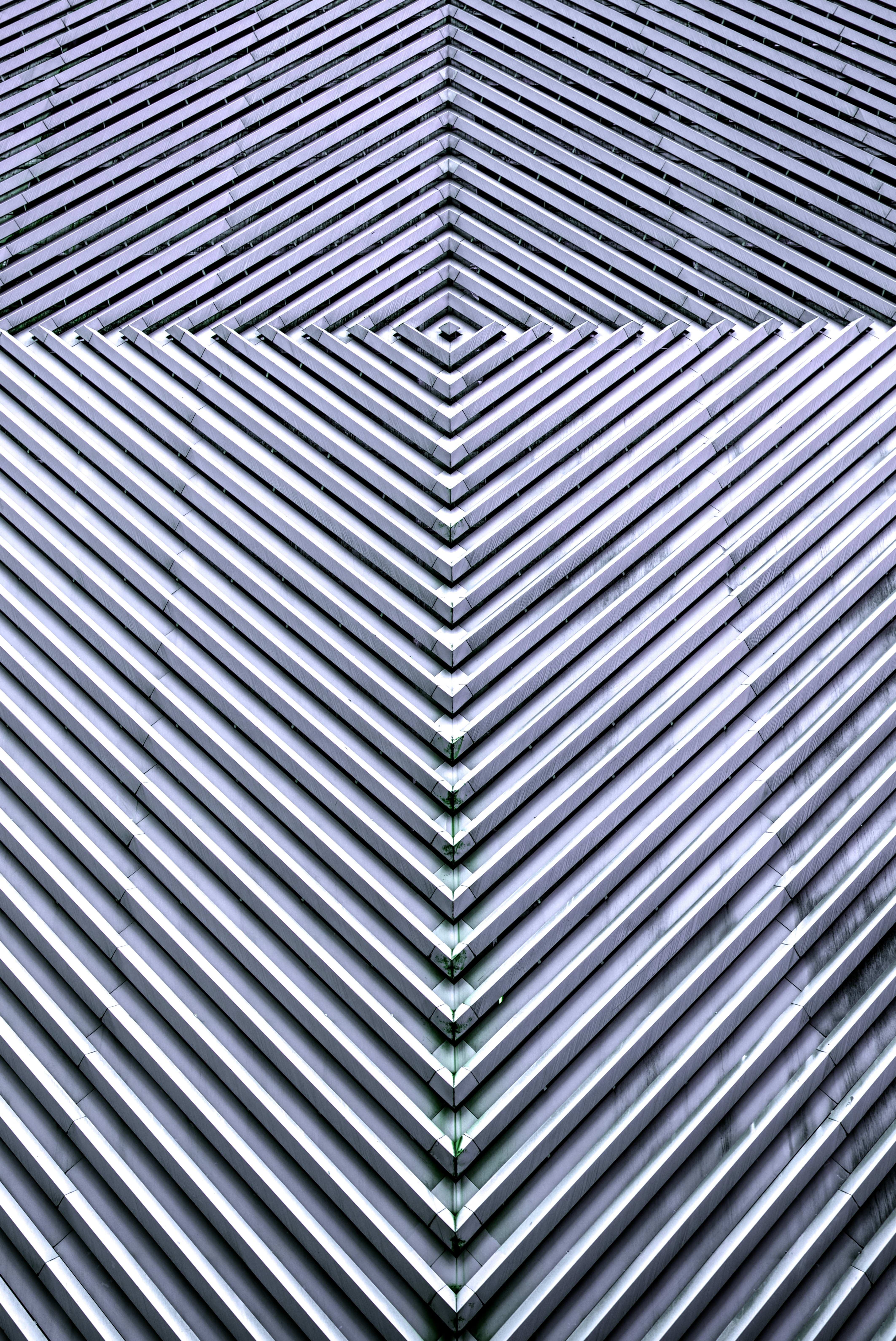 Photo by acton_crawford