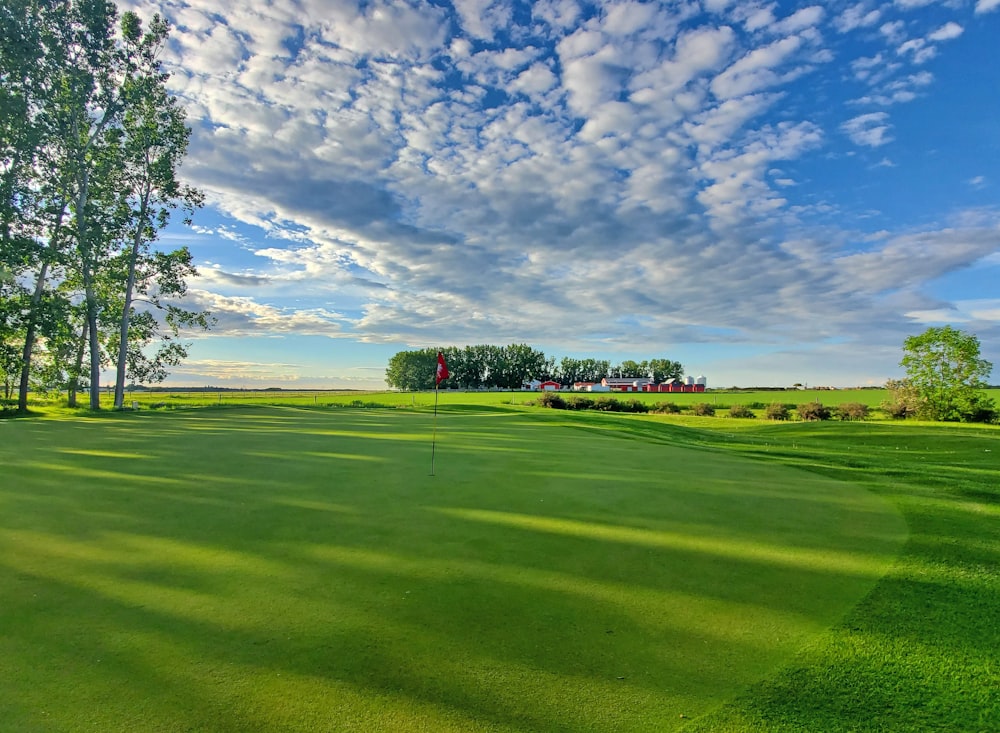 a green golf course with trees and a blue sky