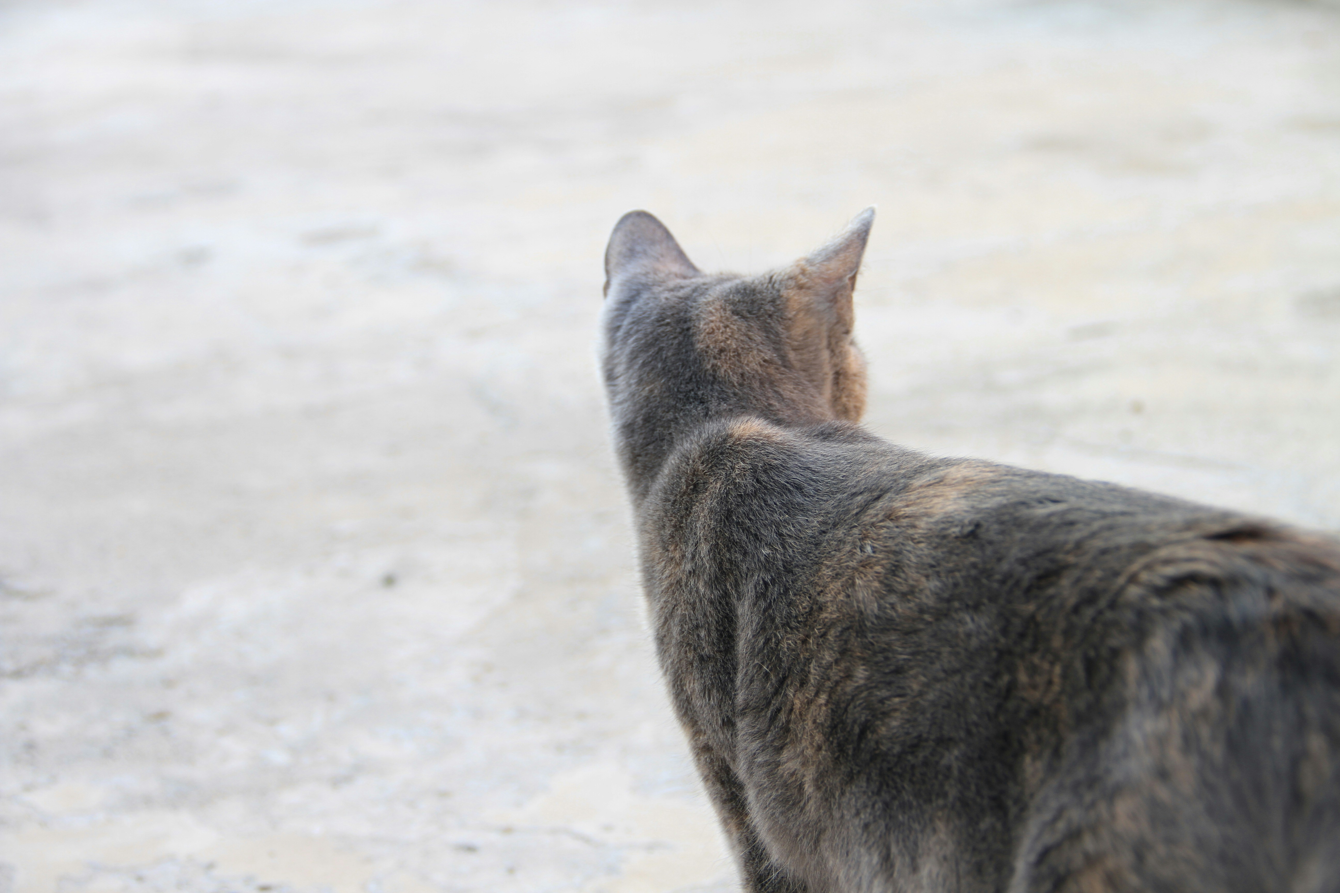 Photo by eosphotography