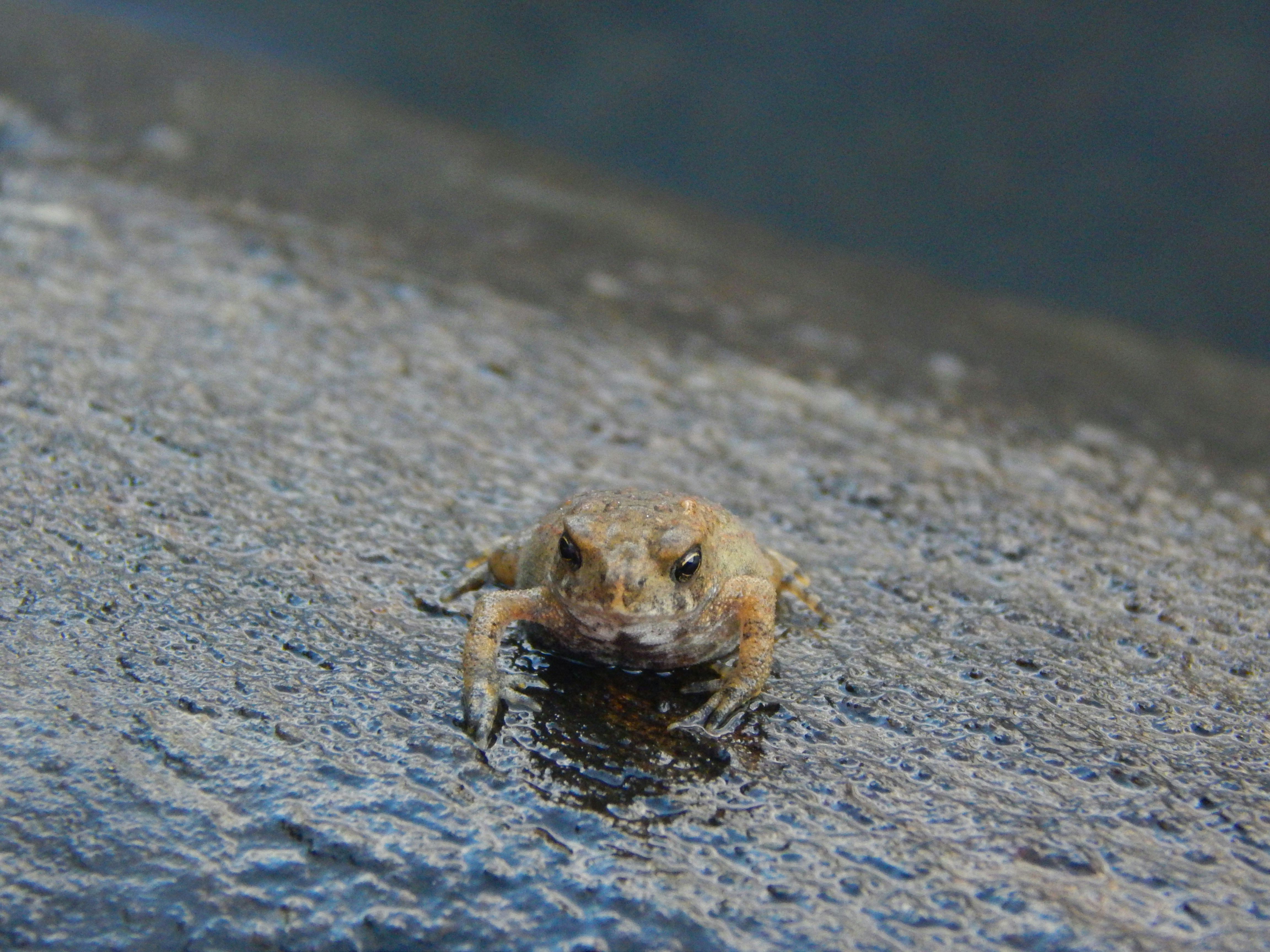 Photo by scarlettweiss