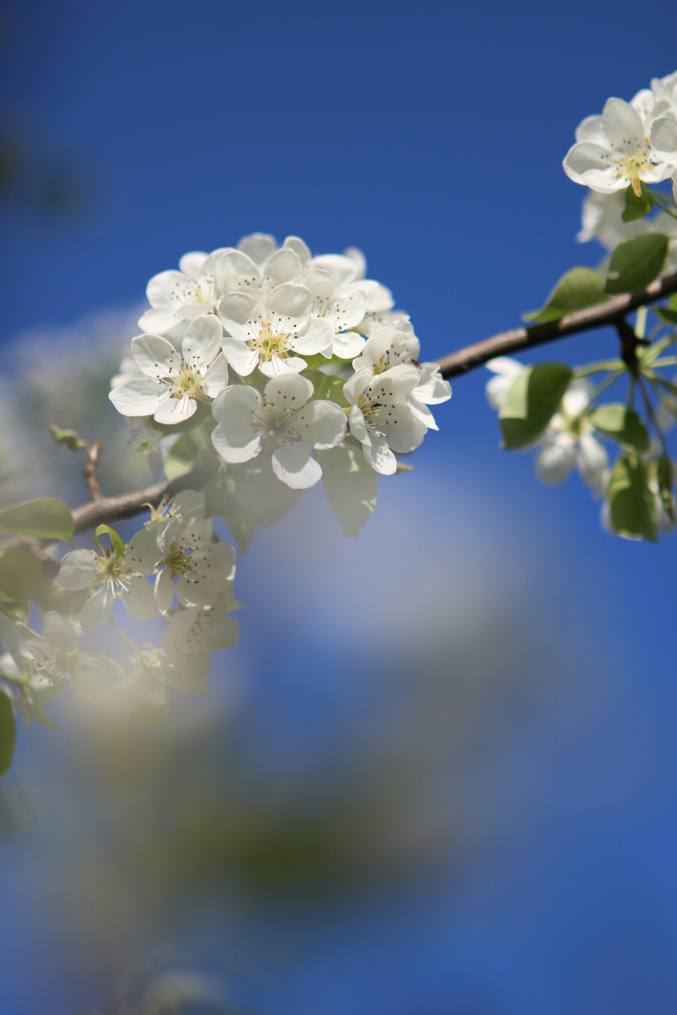 Photo by doinagavrilov