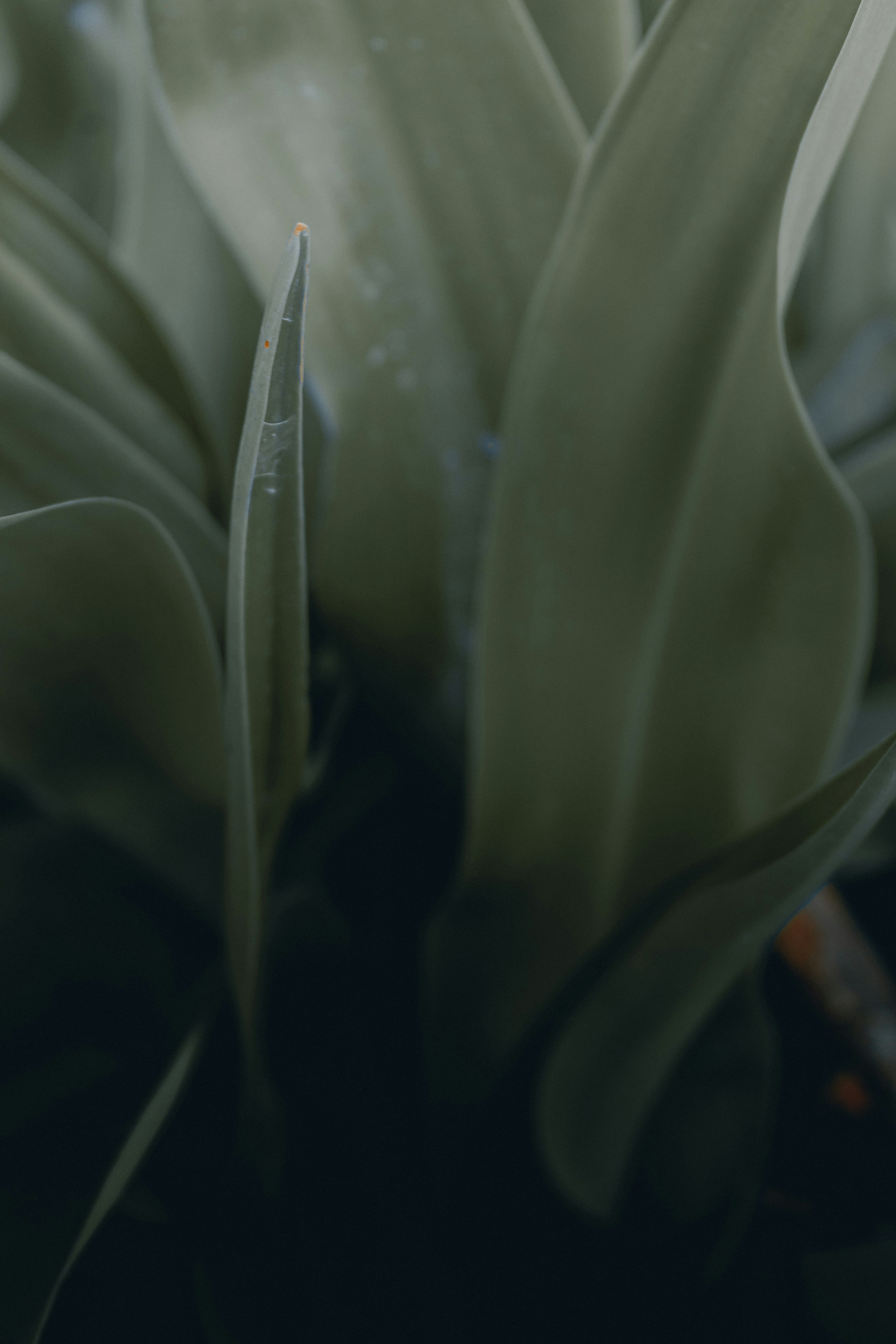 Photo by guiiportraits