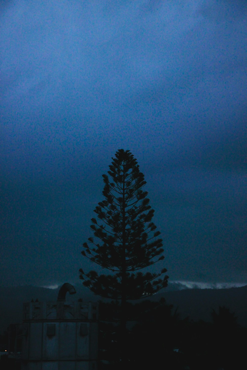 a lone pine tree is silhouetted against a dark sky