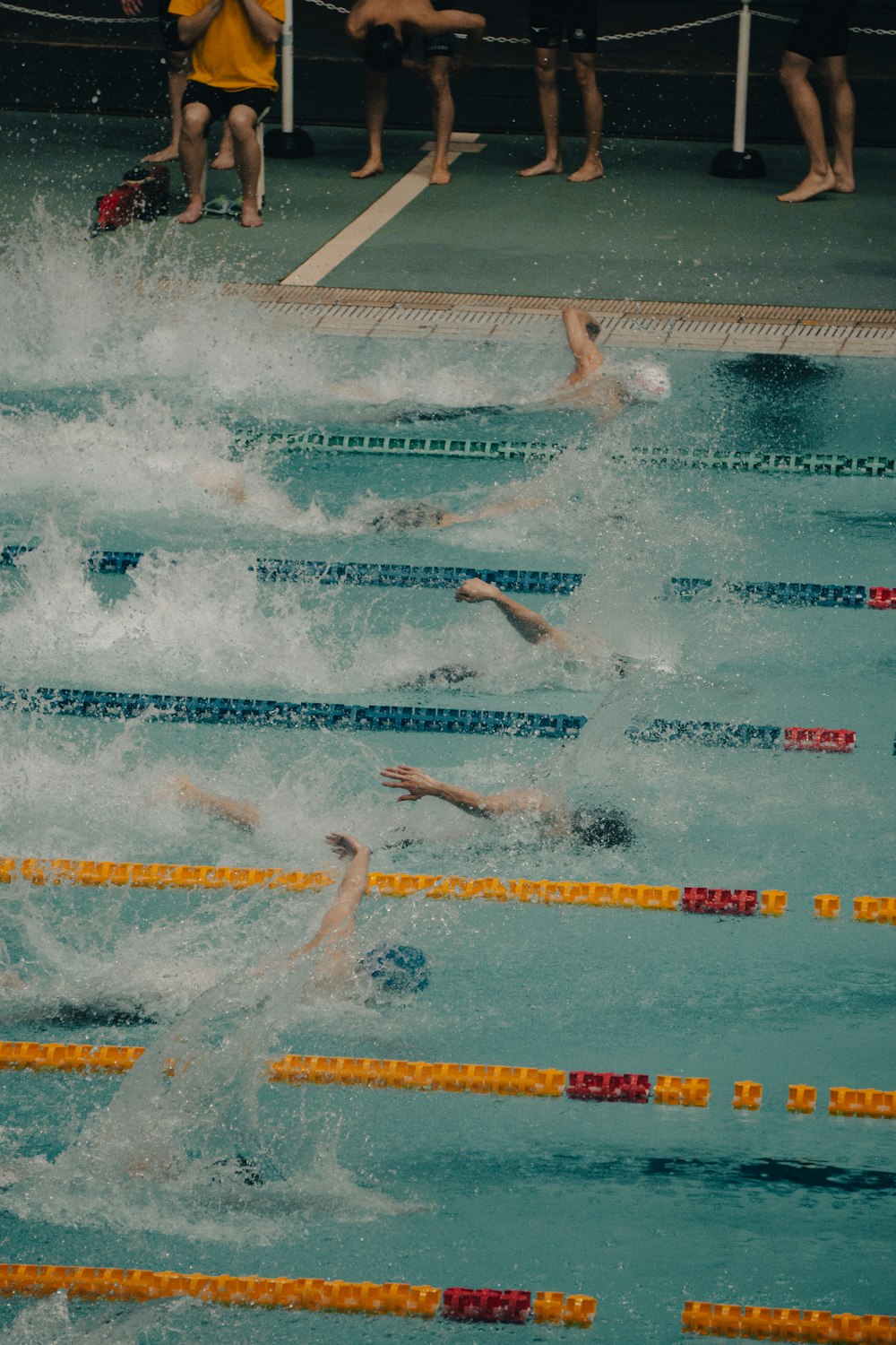 a group of people swimming in a pool