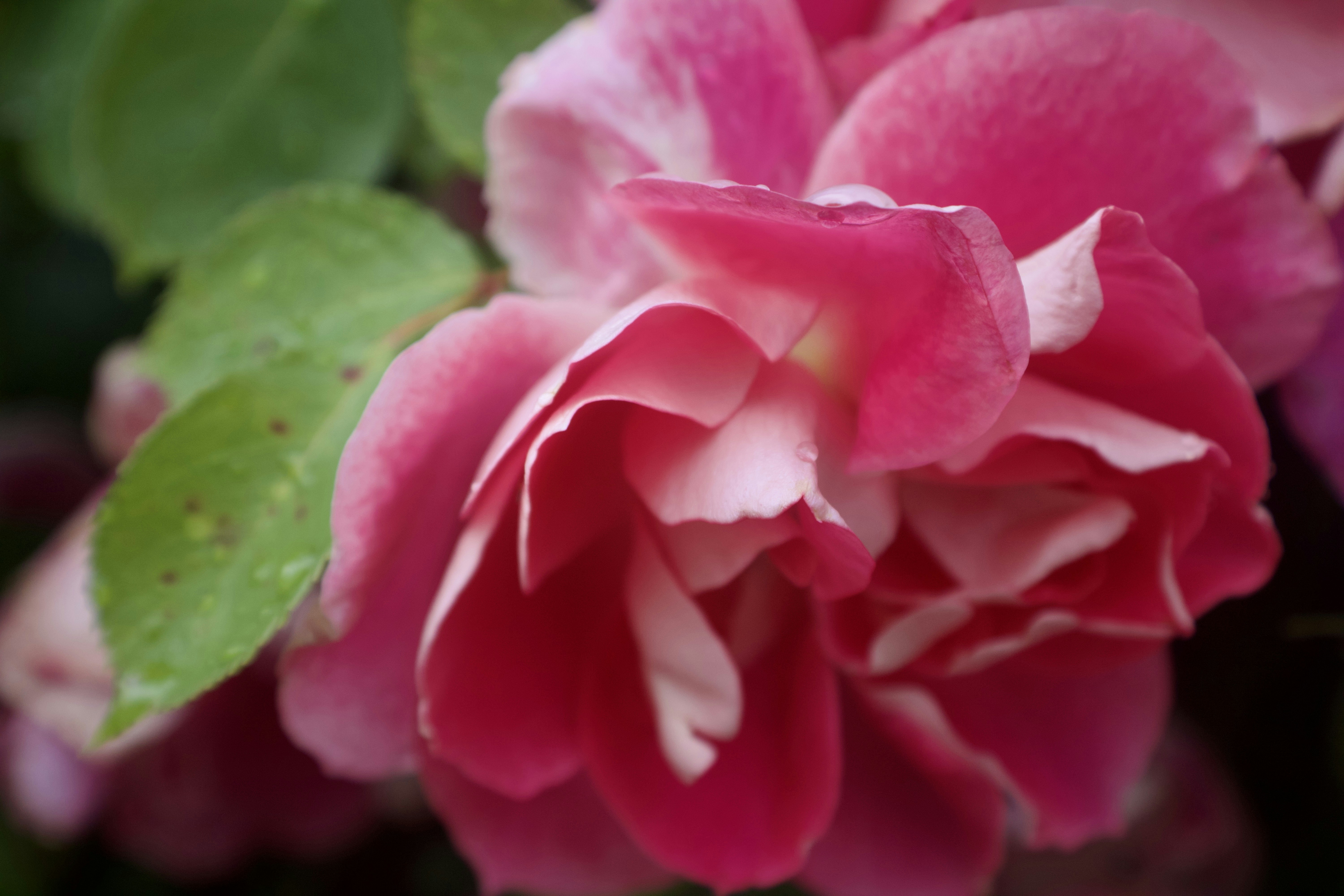 Photo by gabriellejace707