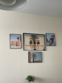 A collection of four framed photographs hangs on a light-colored wall. Each frame features different scenes, including architectural elements and palm trees. The largest photograph shows a building facade with intricate details and a palm tree in front casting shadows. The other frames include images of colorful woven textiles, additional views of palm trees, and a building corner with a blue sky backdrop. A plant with broad leaves is positioned below the frames.
