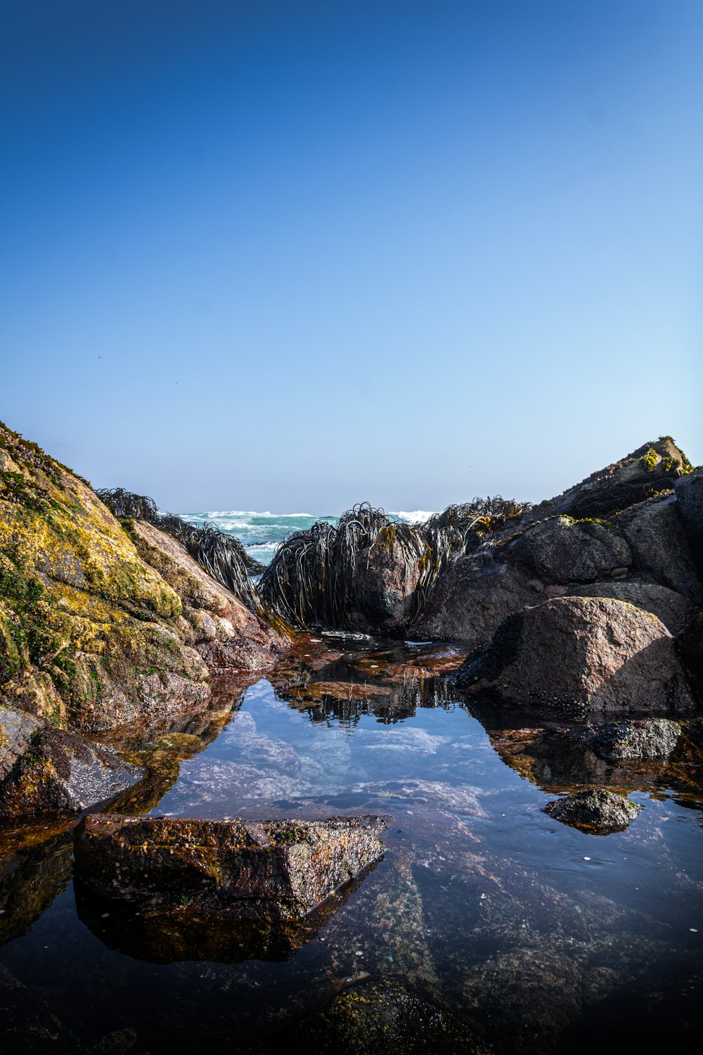 a body of water surrounded by rocks and grass