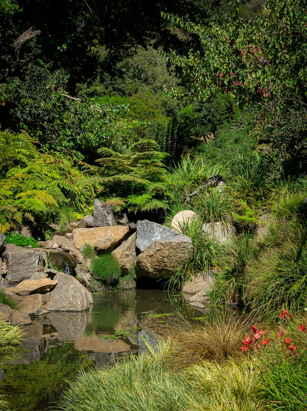 a small pond surrounded by rocks and plants