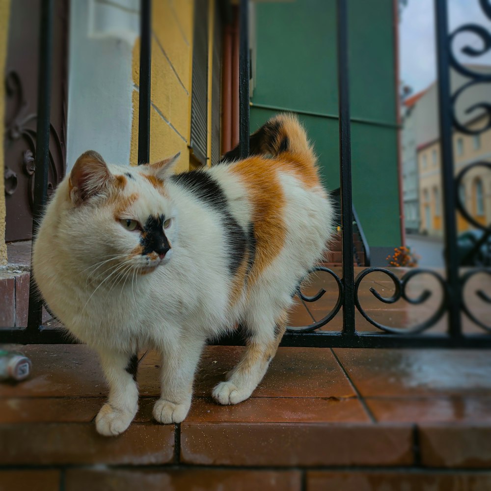 a calico cat standing on a brick floor in front of a gate