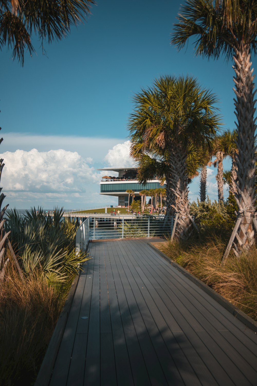 a wooden walkway between two palm trees and a building