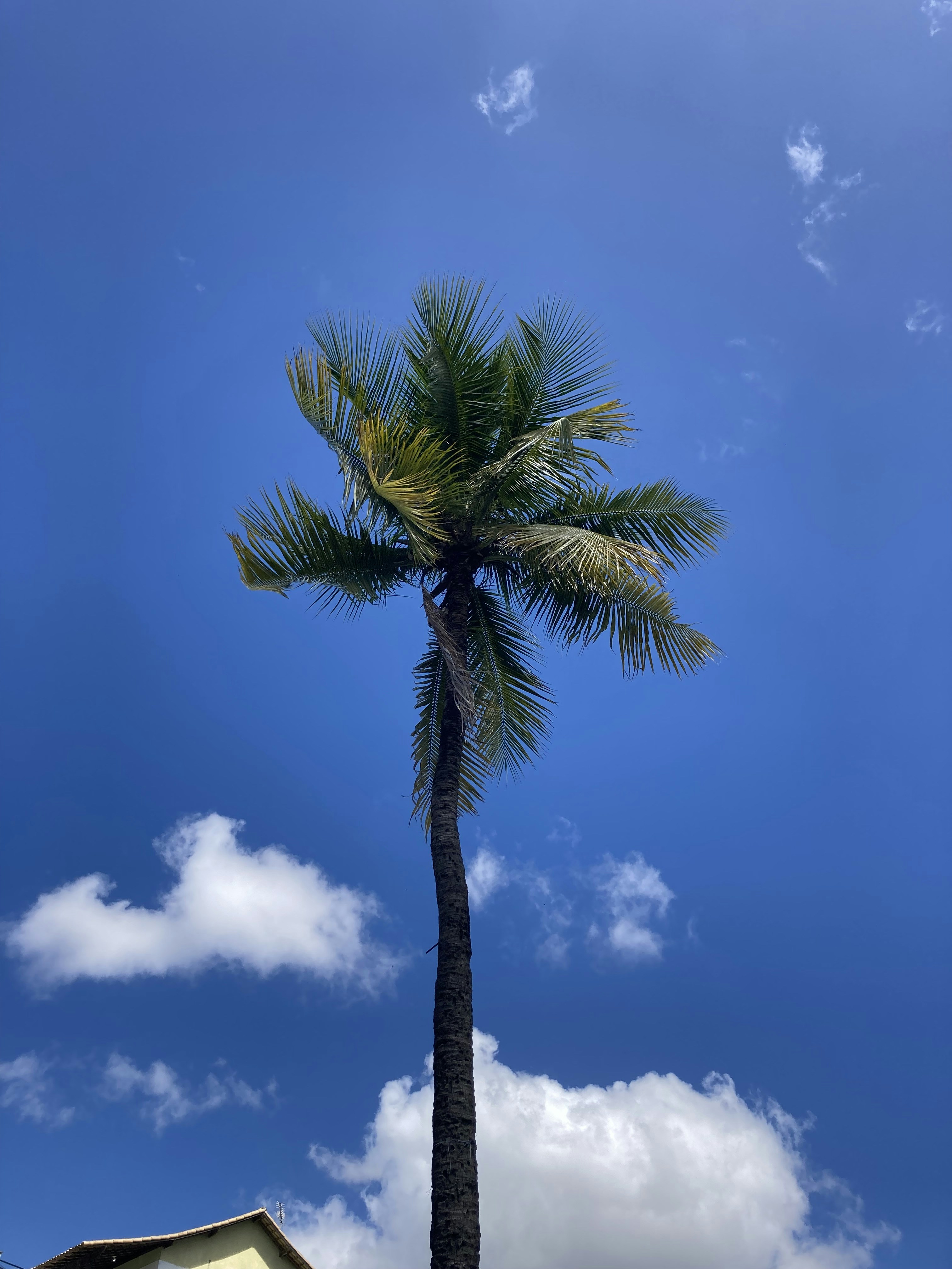 Photo by ileobatista