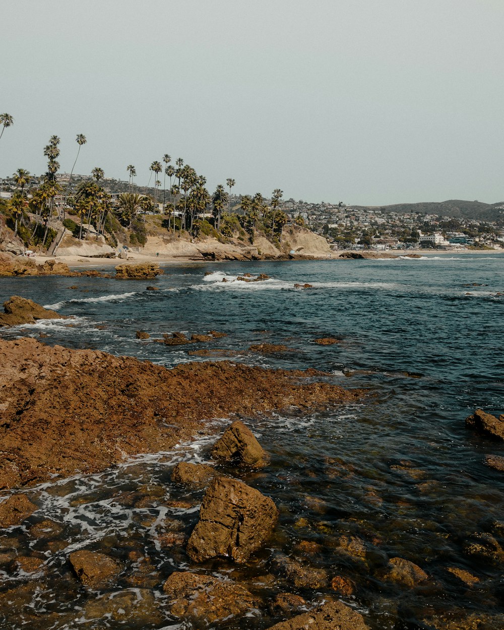 a body of water surrounded by rocks and palm trees