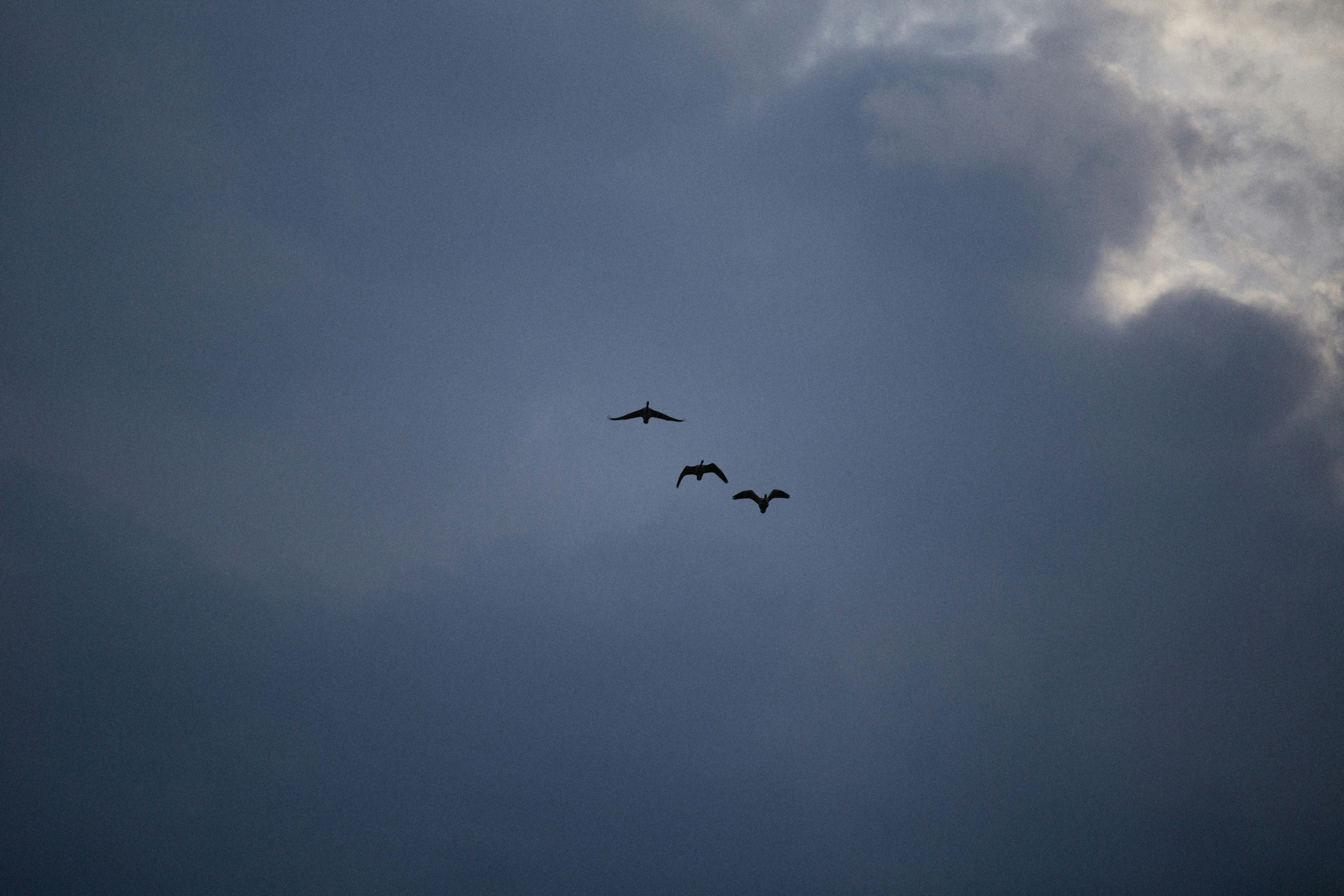 Photo by alexeydemidov