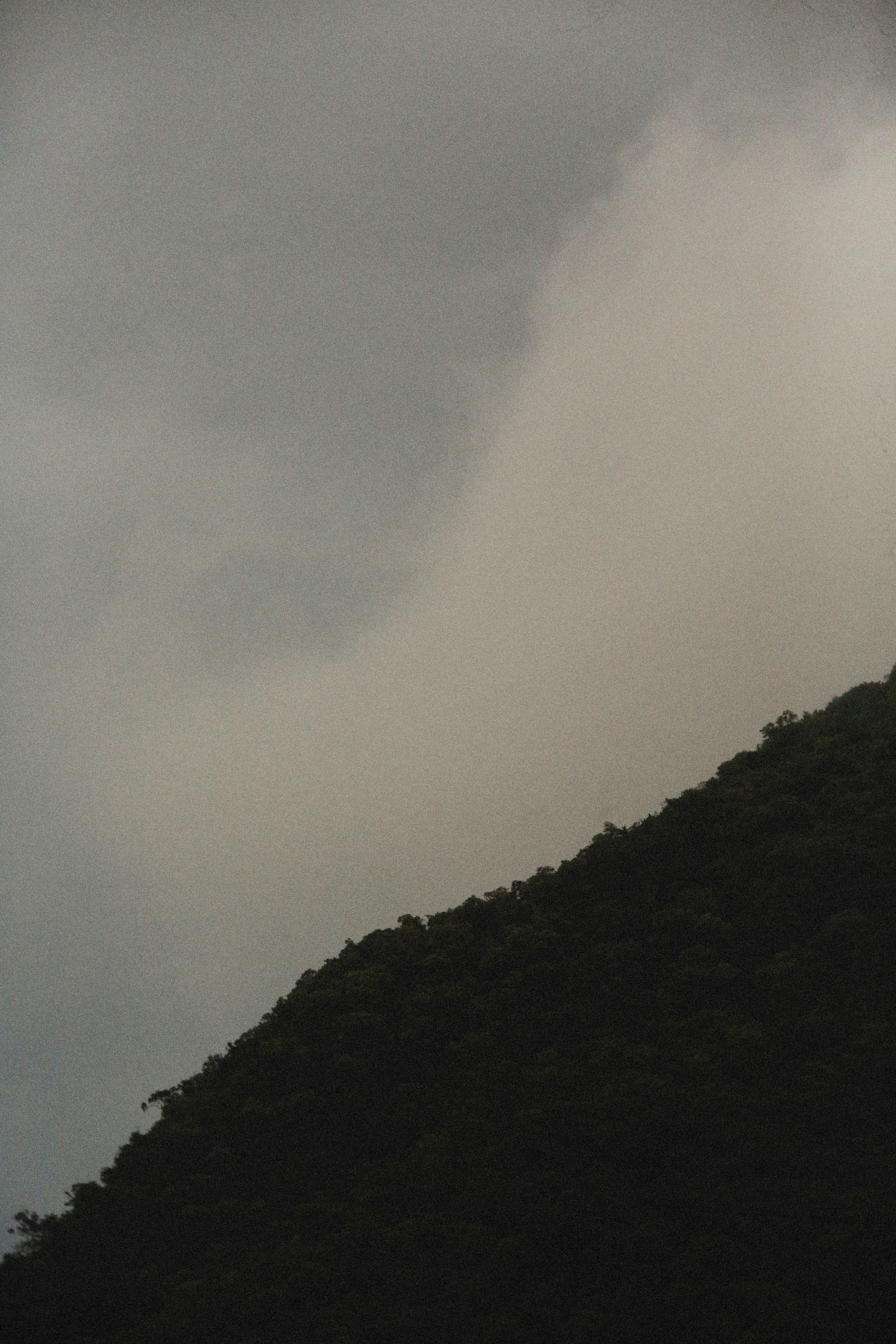 Photo by alexeydemidov