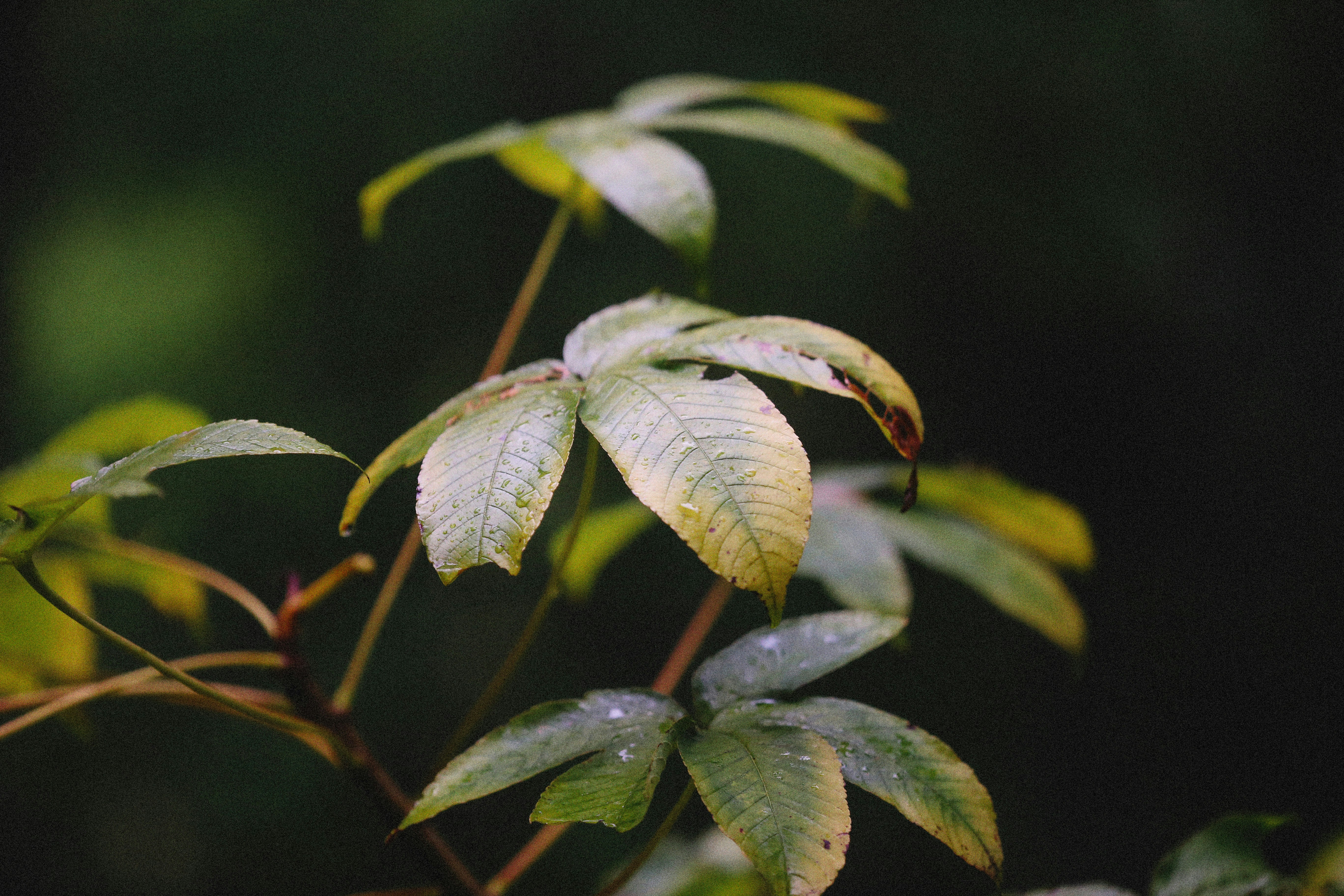 Photo by alexeydemidov