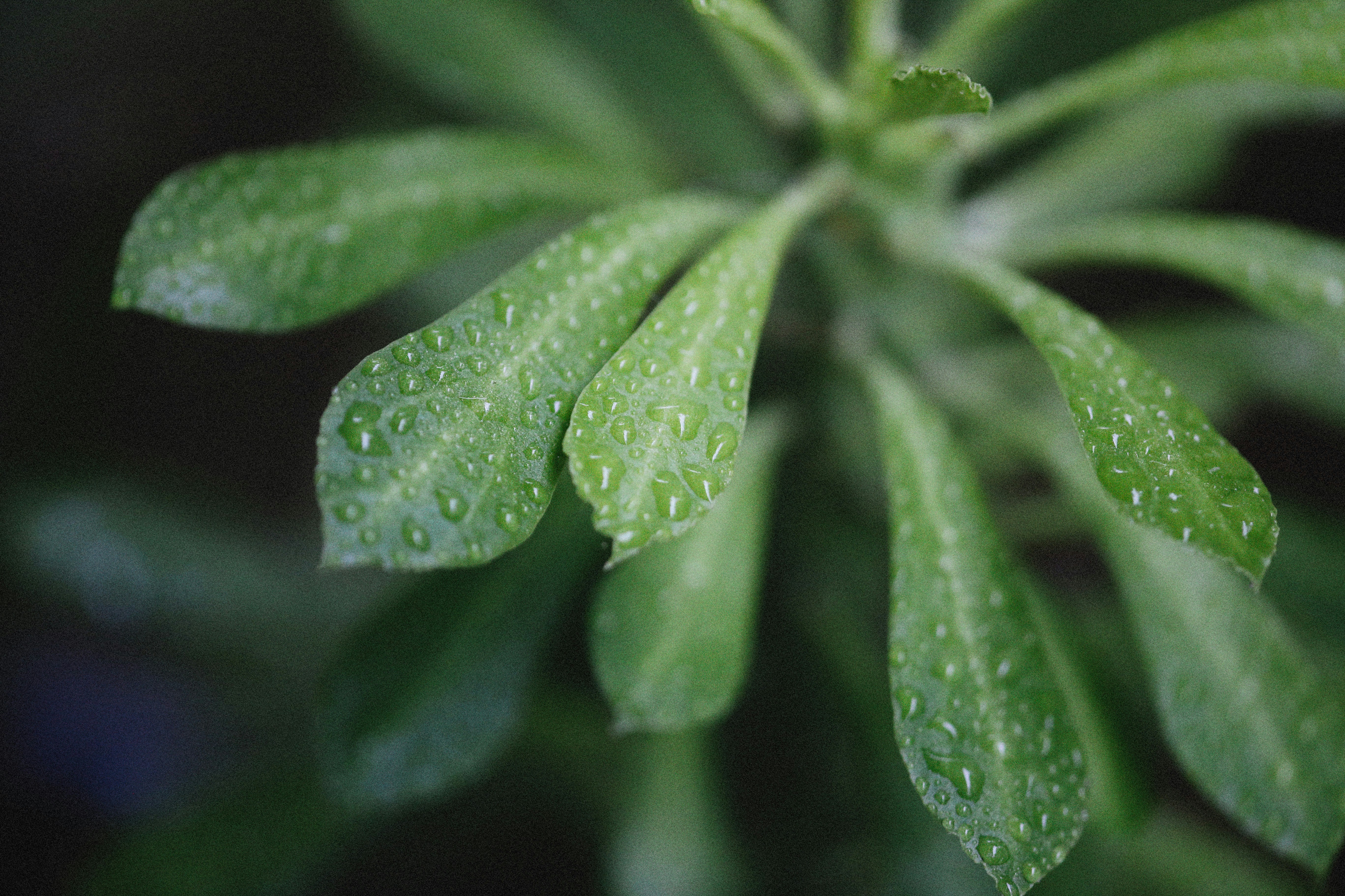 Photo by alexeydemidov