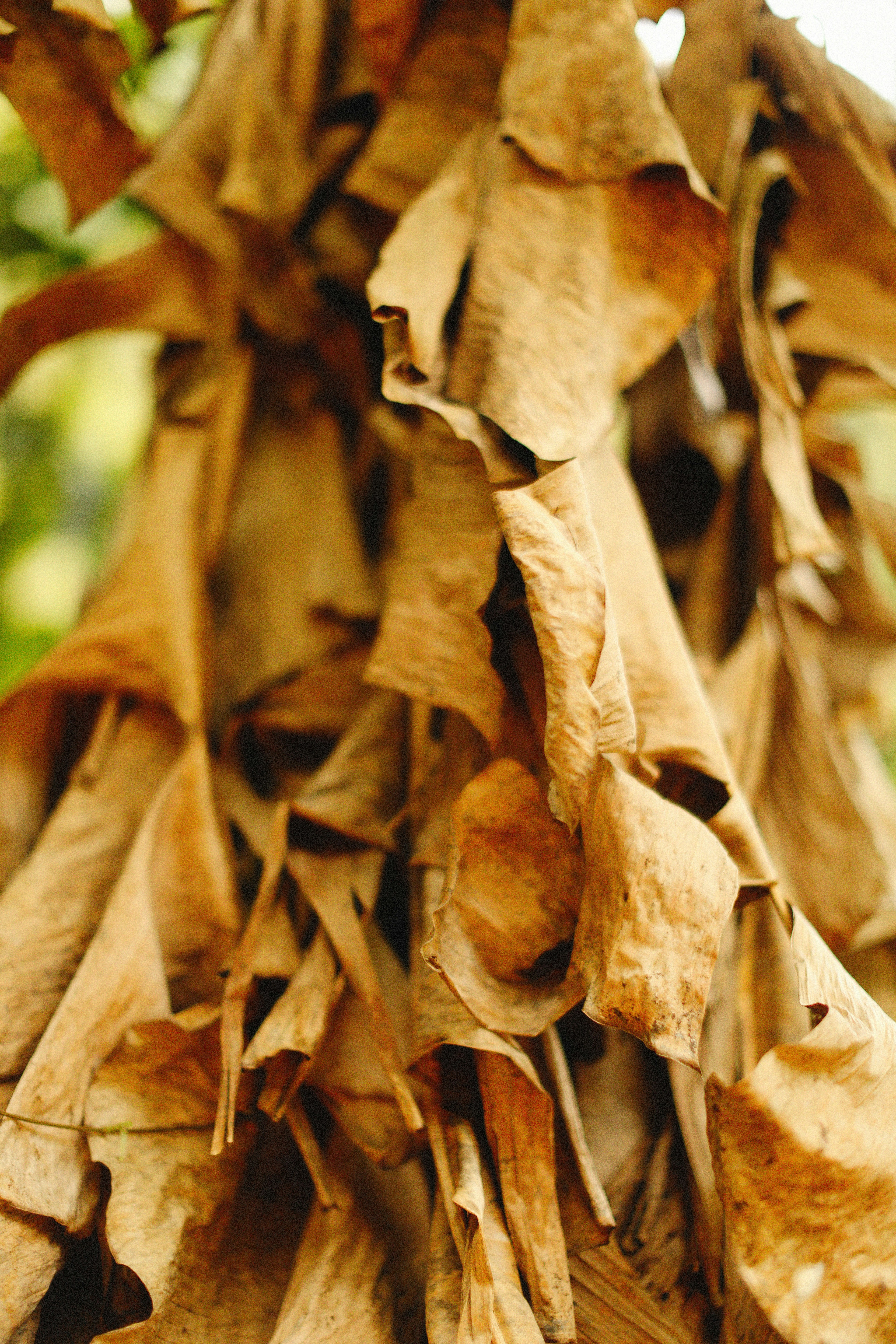 Photo by alexeydemidov