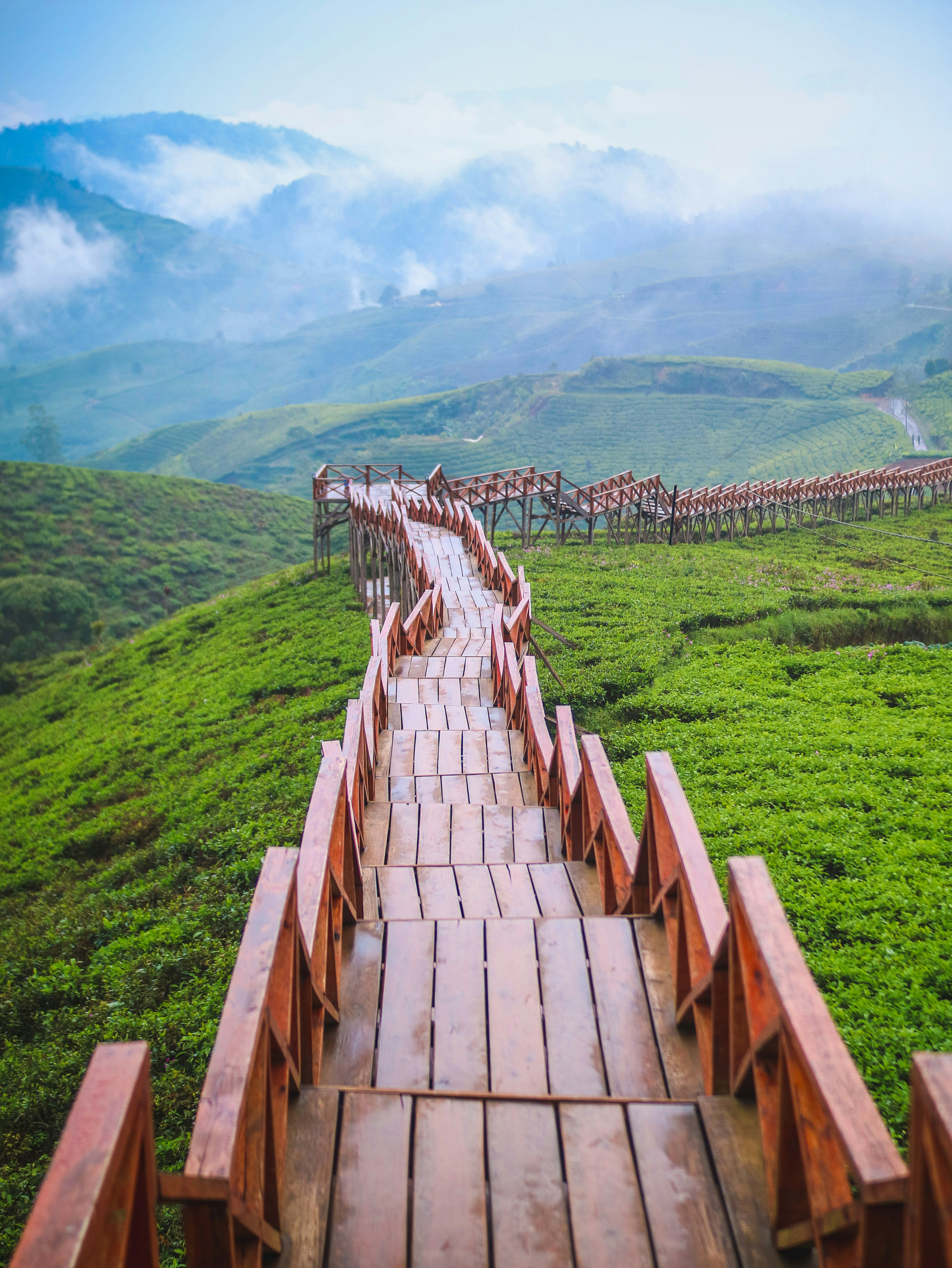 草原の真ん中にある長いレンガの小道