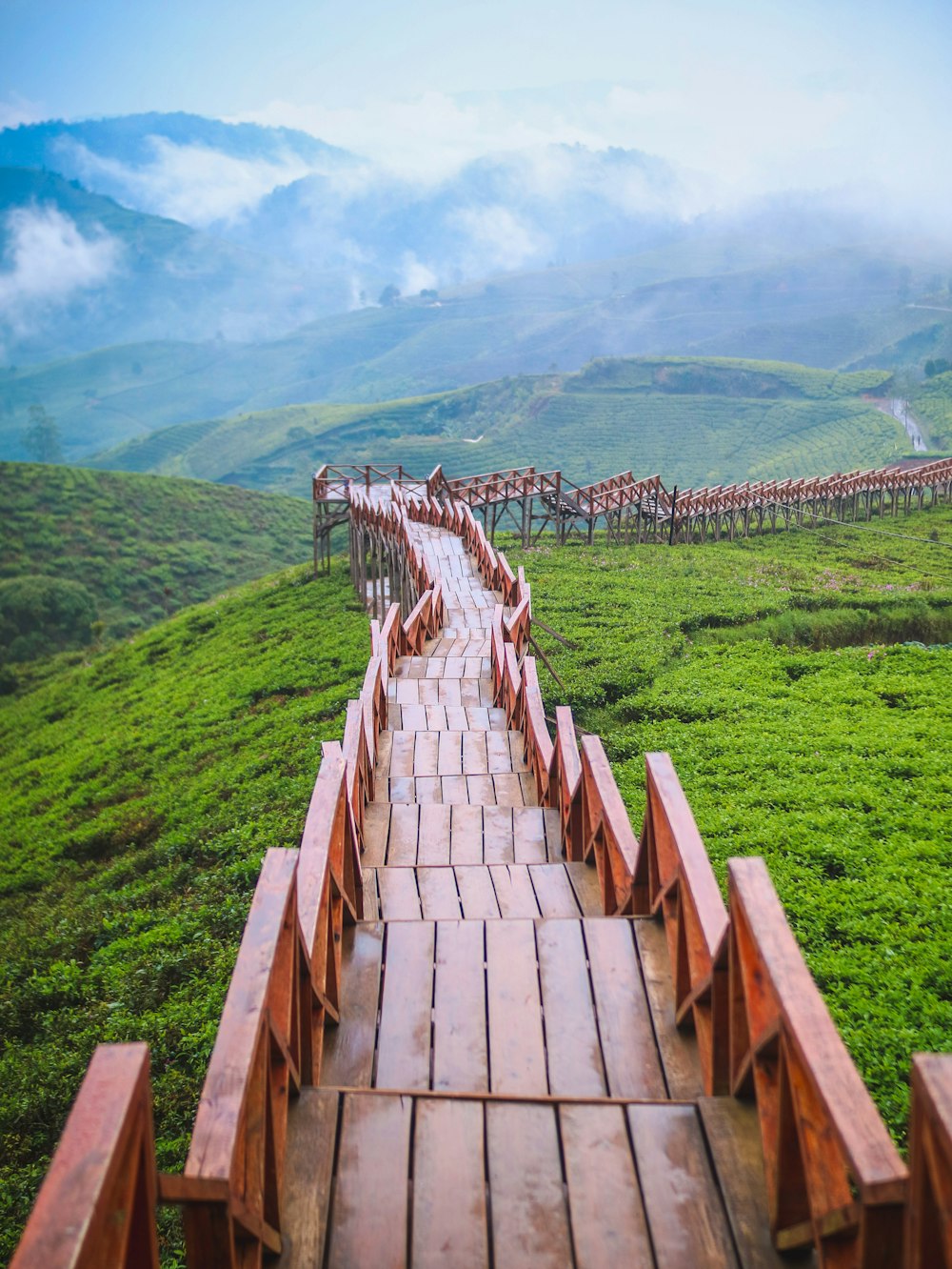 a long brick path in the middle of a grassy field