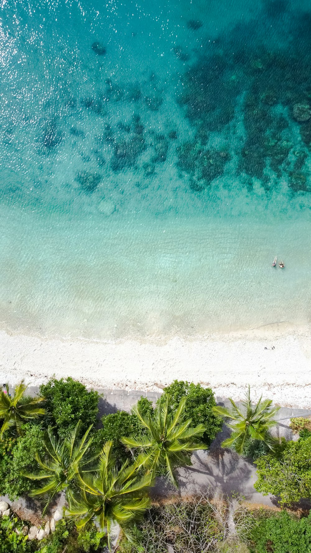 uma vista aérea de uma praia de areia com palmeiras
