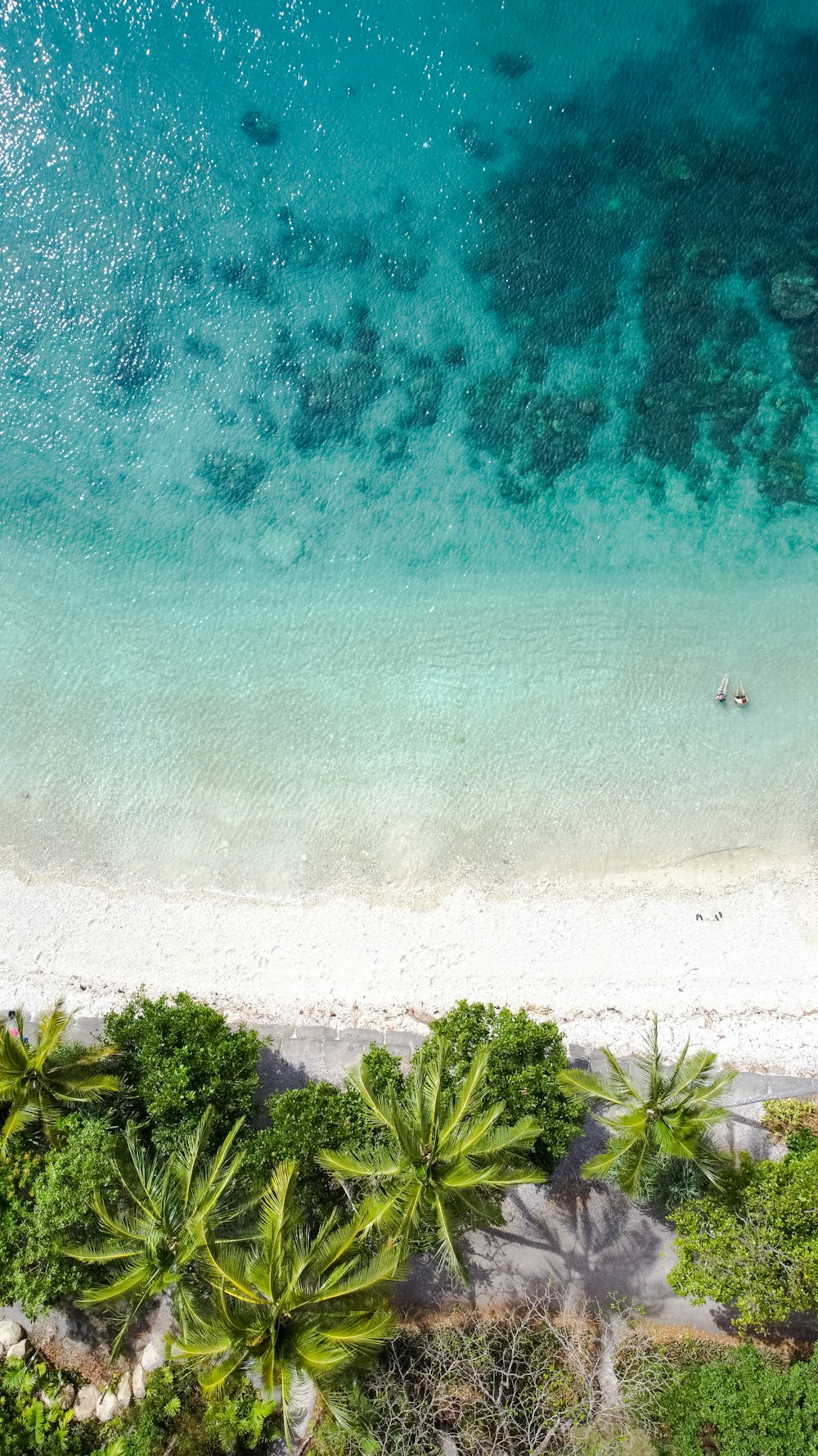 an aerial view of a sandy beach with palm trees