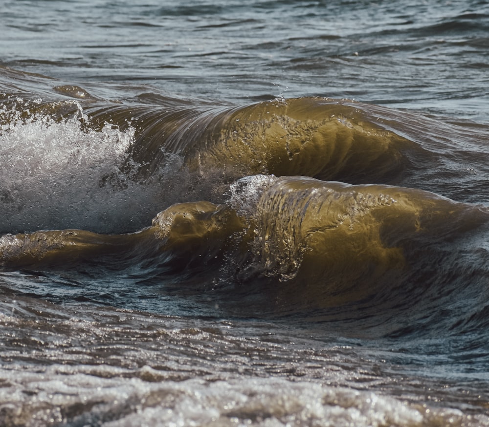 two brown and white waves in the ocean