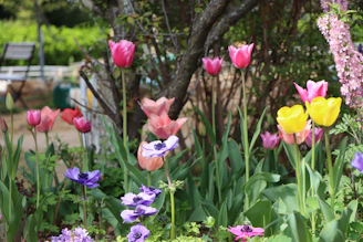 a garden filled with lots of purple and yellow flowers