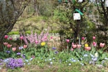 A vibrant British garden showing a variety of birds visiting a smart birdhouse.