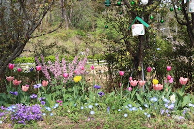 A vibrant garden setup with colorful flower pots and a decorative bird feeder.