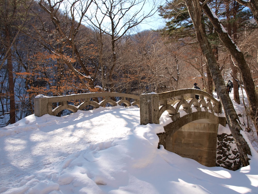 a bridge in the middle of a snowy forest