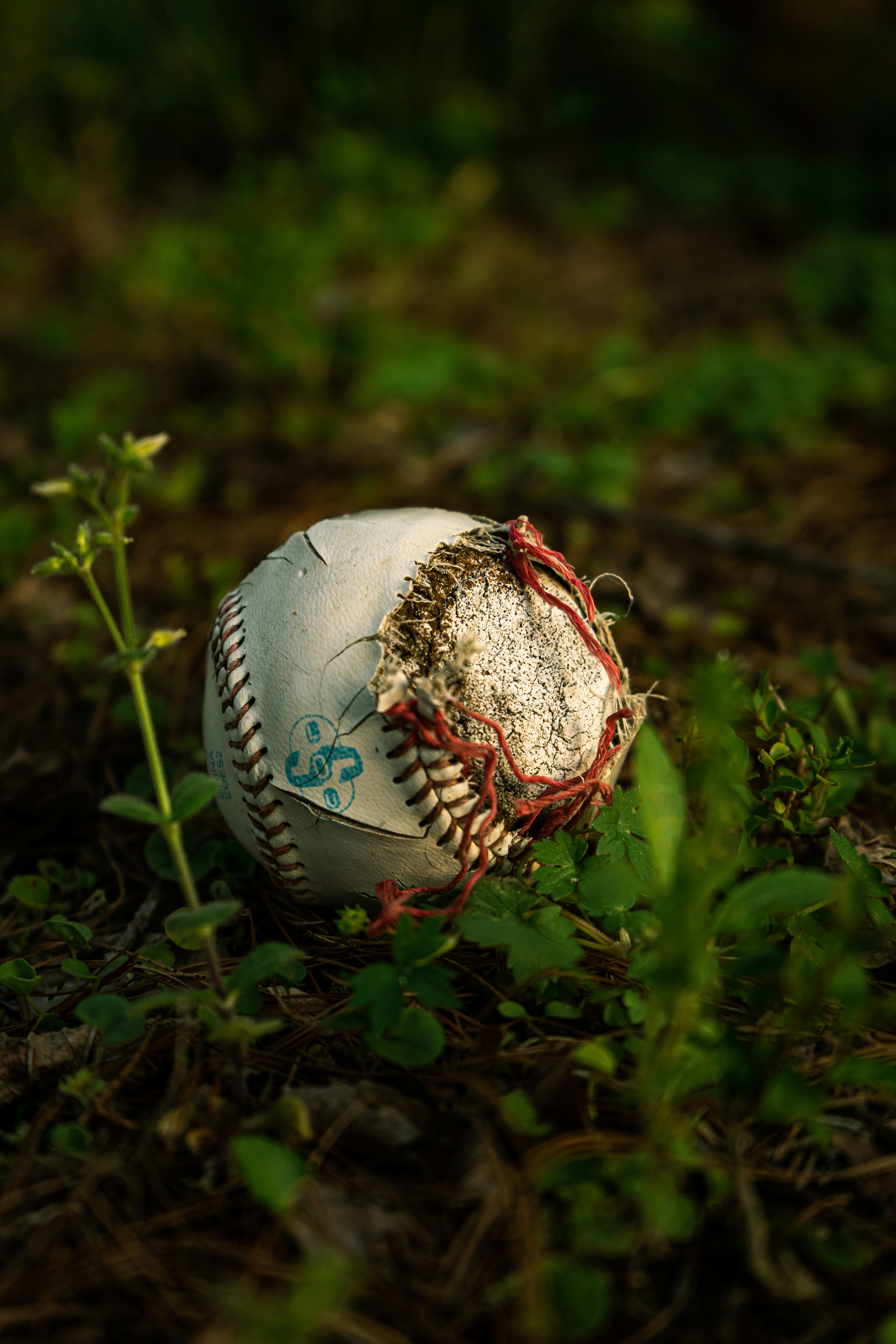 The Science of Serendipity: Unpredictable Events in Sports